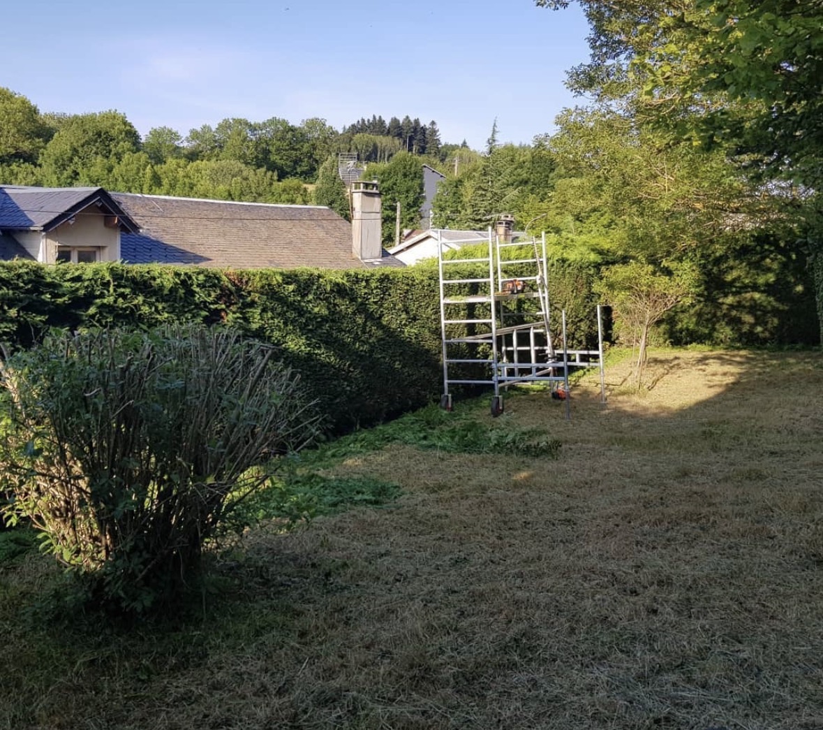 Haie taillée le long d'un terrain